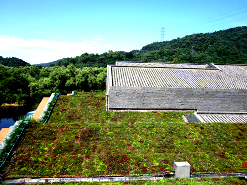 錢江新城 屋頂綠化群 中國風(fēng)景園林網(wǎng)