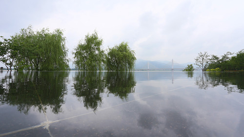 杭州園林：特色蘊于細節(jié)，匠心鑄就精品