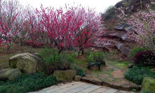 園冶杯專業(yè)獎：鹿鳴公園景觀工程