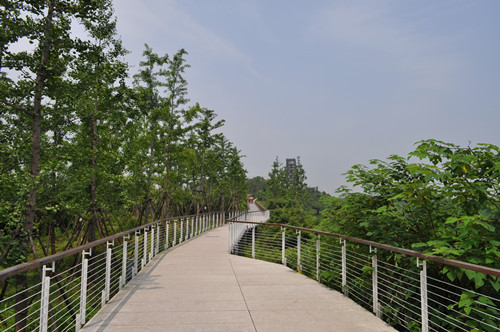 園冶杯專業(yè)獎：鹿鳴公園景觀工程