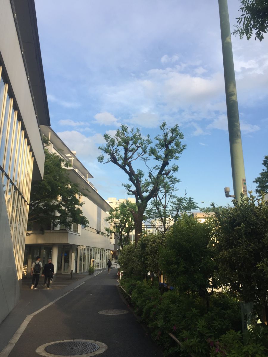 東京知名建筑與景觀參訪 與戶田芳樹大師對話