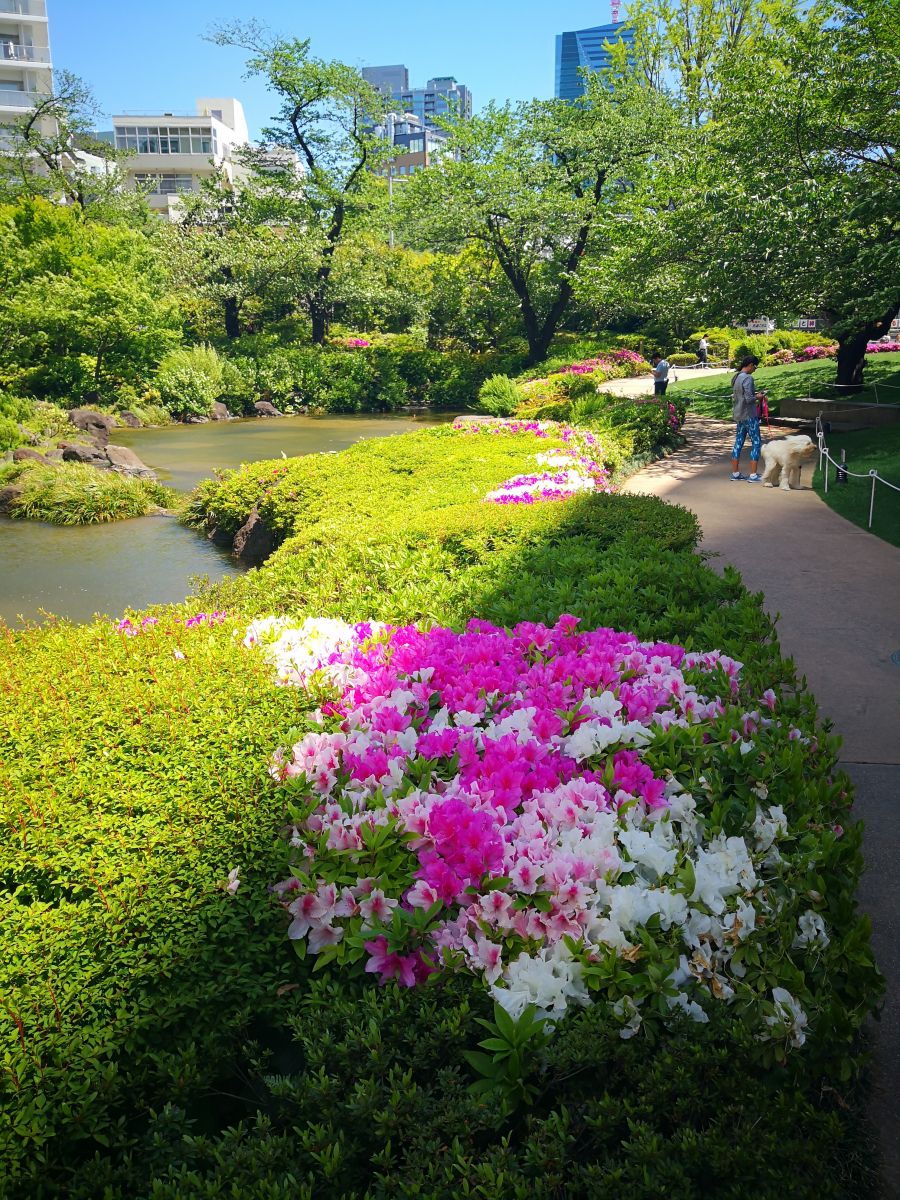 東京知名建筑與景觀參訪 與戶田芳樹大師對話