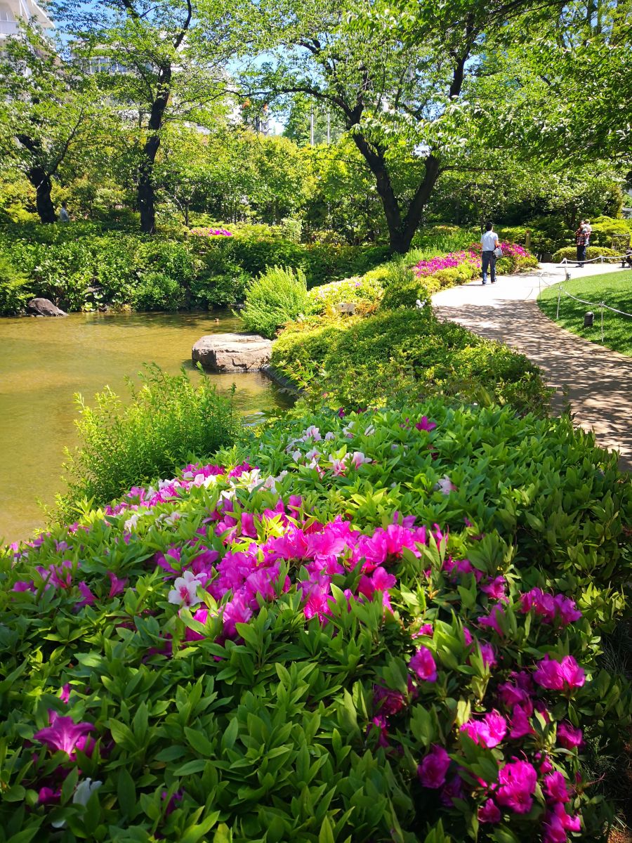 東京知名建筑與景觀參訪 與戶田芳樹大師對話